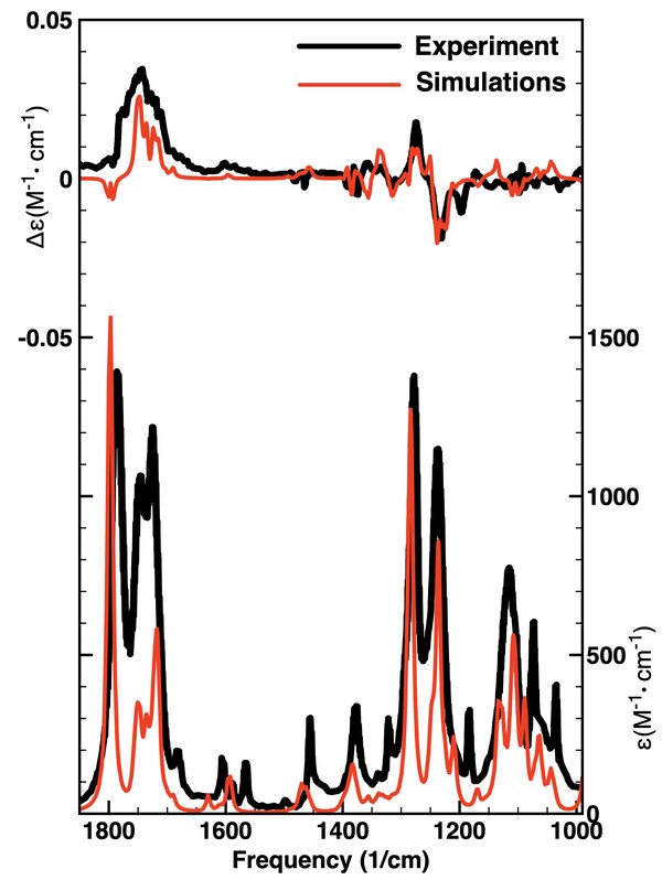 Acetylmelodorinol experimental vs. calculated spectra