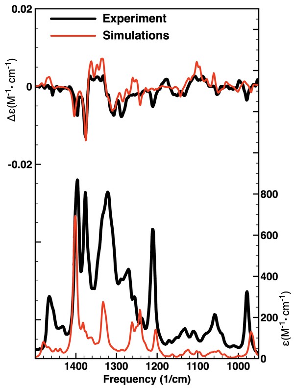Dihydroperezone experimental vs. calculated spectra