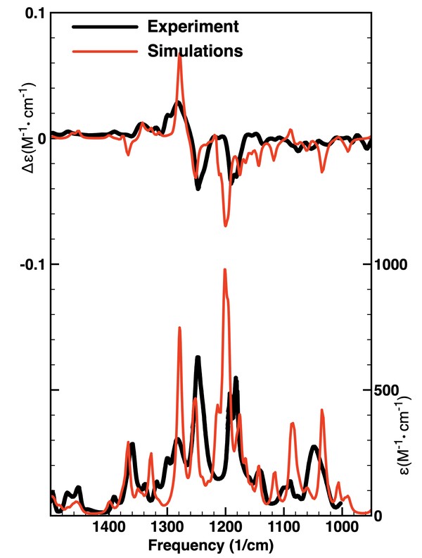 Guignardianone A experimental vs. calculated spectra