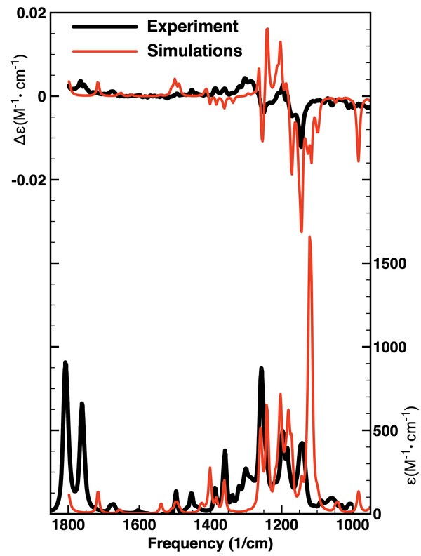 Guignardianone B experimental vs. calculated spectra
