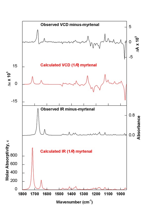(minus)-(1R)-Myrtenal experimental vs. calculated spectra