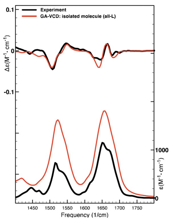 Orbitide_PohlianinA experimental vs. calculated spectra