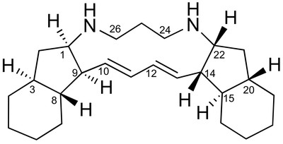 Papuamine