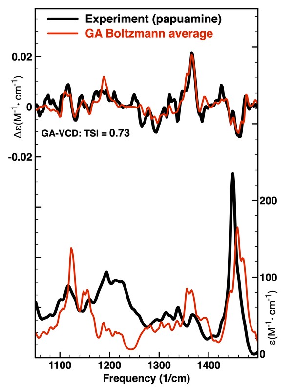 Papuamine experimental vs. calculated spectra