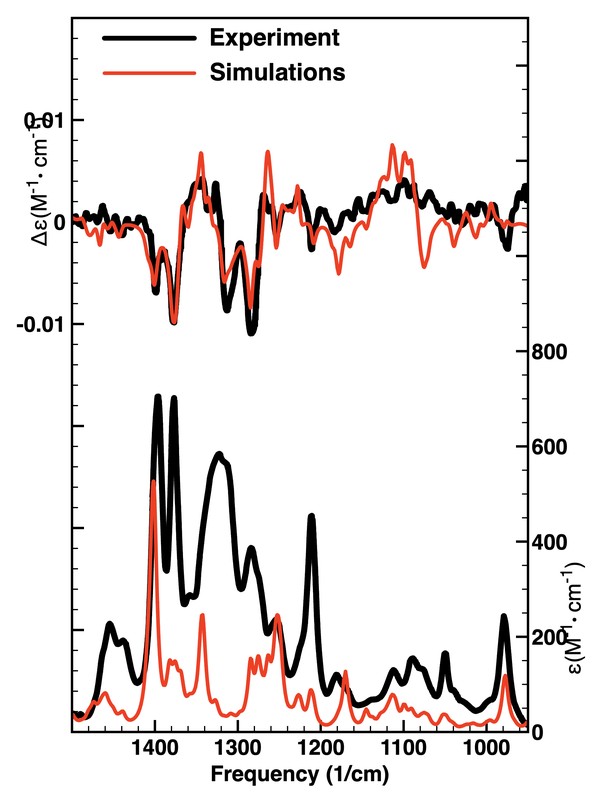 Perezone experimental vs. calculated spectra
