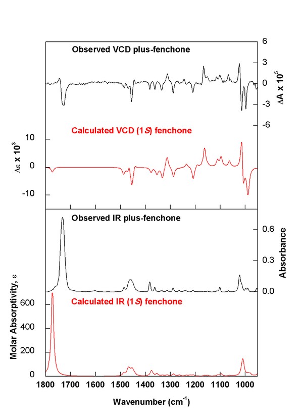 (plus)-(1S)-Fenchone experimental vs. calculated spectra