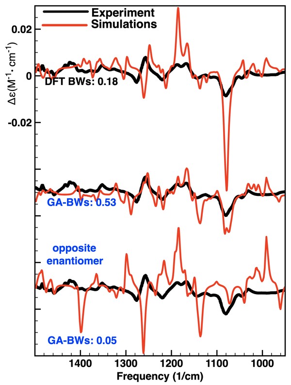 (plus)-R-Piperacea GA analysis