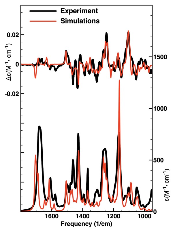 (R)-tert-butyl-1-(aminomethyl)-8-methoxy-1,2,4,5-tetrahydro-3H-benzo[d]azepine-3-carboxylate experimental vs. calculated spectra